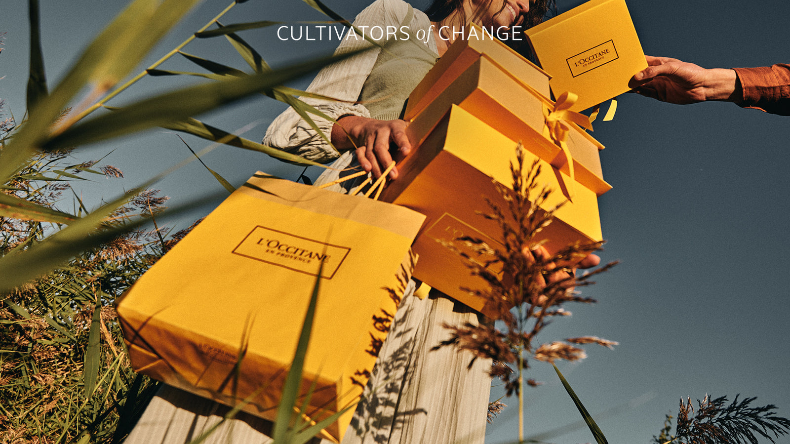 Gifts under R2000 | L'Occitane South Africa