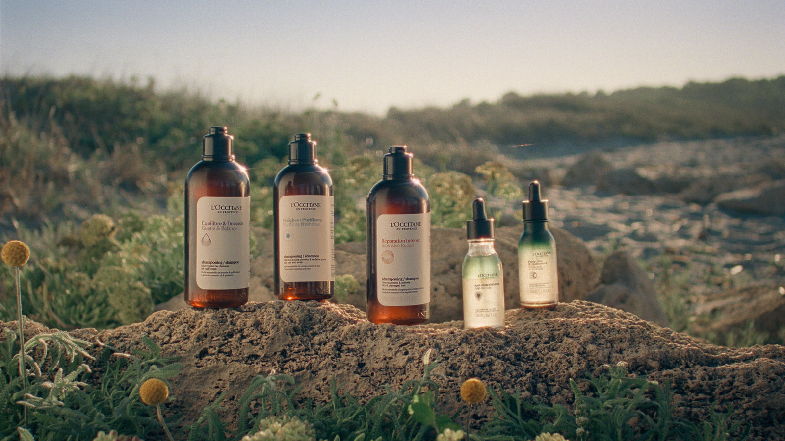 5 Essential Oils Hair Collection | L'Occitane South Africa