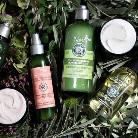 Aromachology Collection