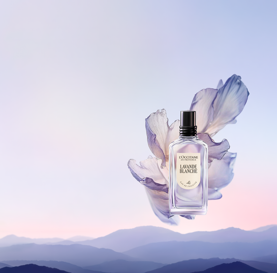 The Difference between Eau de Toilette vs Eau de Perfume | L The Difference between Eau de Toilette vs Eau de Perfume | L