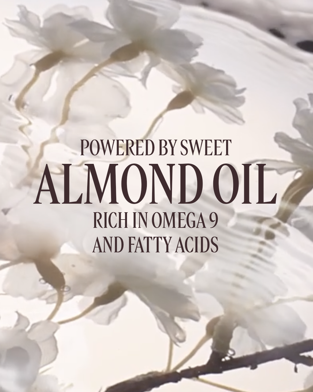 Almond Shower Oil (Luxury Size)