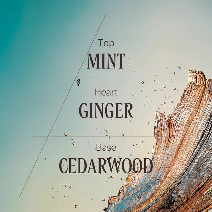 Cèdre Gingembre Eau de Toilette