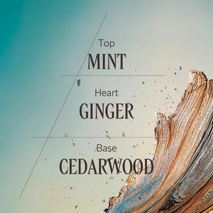 Cèdre Gingembre Eau de Toilette