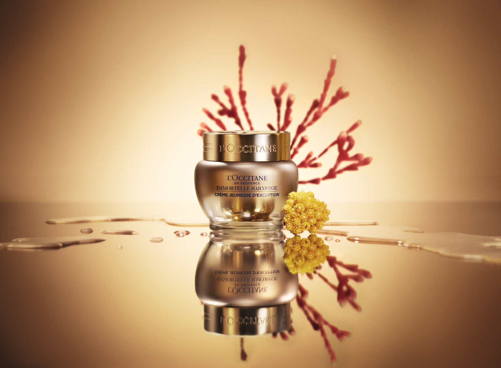 Immortelle Harmony Exceptional Youth Cream | L'Occitane South Africa
