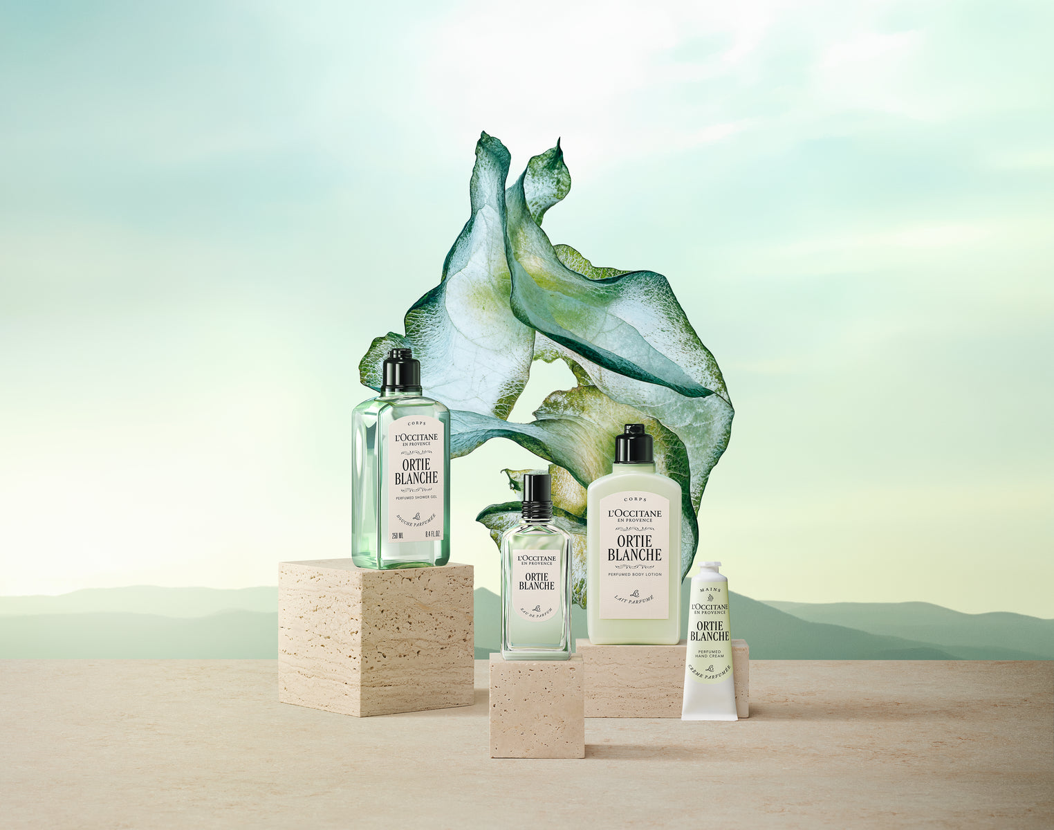 Fragrances | L'Occitane South Africa