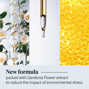 Immortelle Overnight Reset Oil-in-Serum